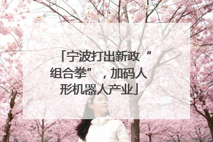 宁波打出新政“组合拳”，加码人形机器人产业