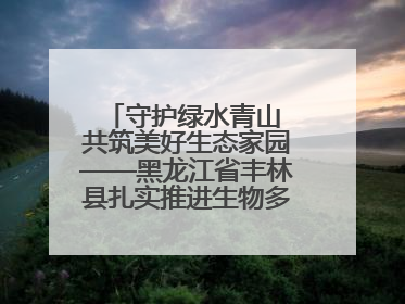 守护绿水青山 共筑美好生态家园——黑龙江省丰林县扎实推进生物多样性保护工作
