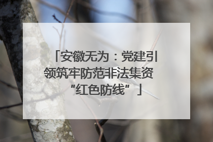 安徽无为：党建引领筑牢防范非法集资“红色防线”