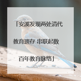 安溪发现两处清代教育遗存 串联起数百年教育脉络