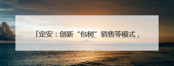定安：创新“包树”销售等模式，助力荔枝产业转型升级和品牌打造