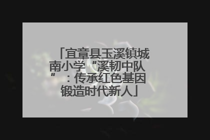 宜章县玉溪镇城南小学“溪韧中队”：传承红色基因 锻造时代新人