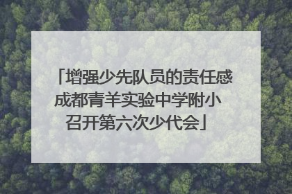 增强少先队员的责任感 成都青羊实验中学附小召开第六次少代会