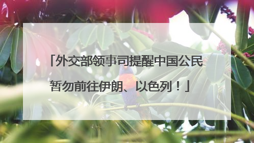 外交部领事司提醒中国公民暂勿前往伊朗、以色列！