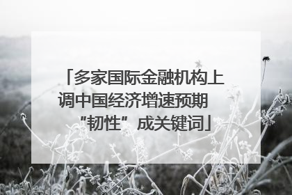 多家国际金融机构上调中国经济增速预期 “韧性”成关键词