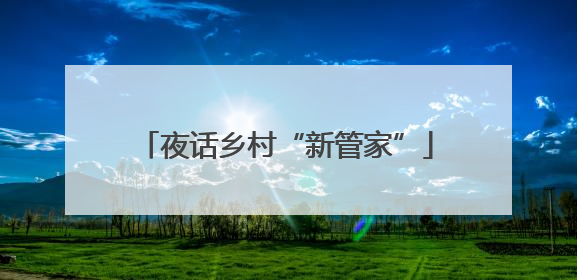 夜话乡村“新管家”