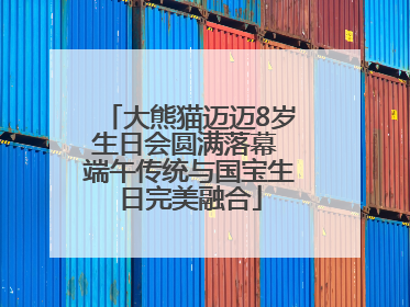 大熊猫迈迈8岁生日会圆满落幕 端午传统与国宝生日完美融合