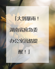 大到暴雨！湖南省应急委办公室汛情提醒！