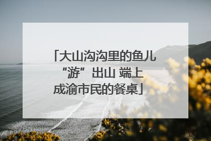 大山沟沟里的鱼儿 “游”出山 端上成渝市民的餐桌