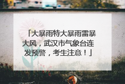大暴雨特大暴雨雷暴大风，武汉市气象台连发预警，考生注意！