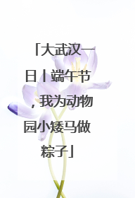 大武汉一日丨端午节，我为动物园小矮马做粽子