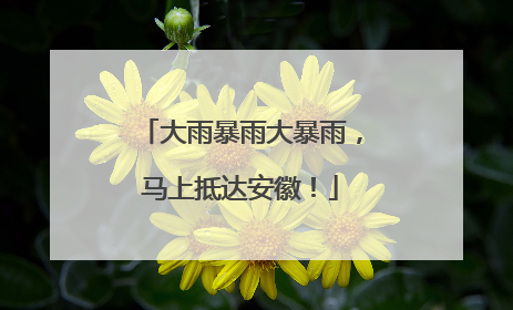 大雨暴雨大暴雨，马上抵达安徽！