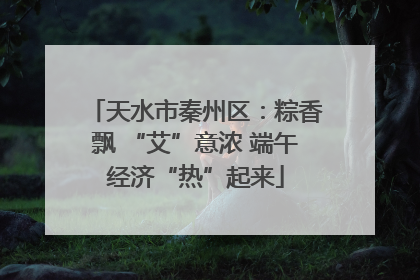 天水市秦州区：粽香飘 “艾”意浓 端午经济“热”起来