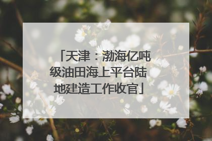 天津：渤海亿吨级油田海上平台陆地建造工作收官