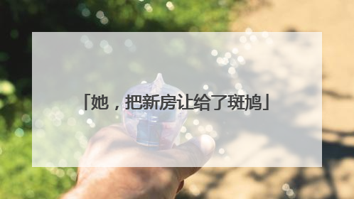 她，把新房让给了斑鸠