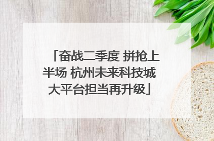 奋战二季度 拼抢上半场 杭州未来科技城大平台担当再升级