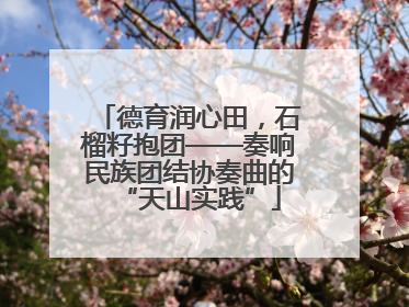 德育润心田，石榴籽抱团——奏响民族团结协奏曲的“天山实践”