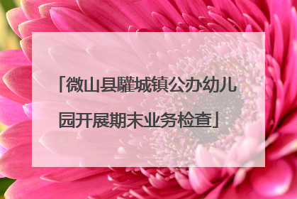 微山县驩城镇公办幼儿园开展期末业务检查