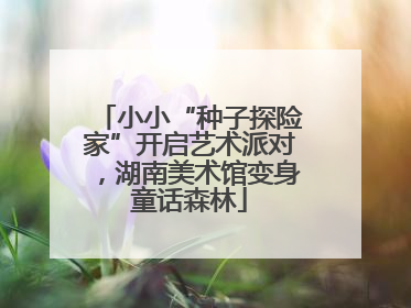 小小“种子探险家”开启艺术派对，湖南美术馆变身童话森林