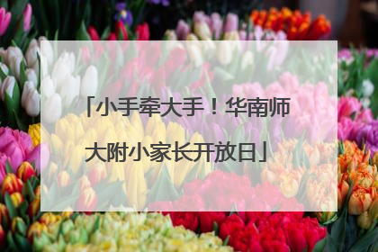 小手牵大手！华南师大附小家长开放日