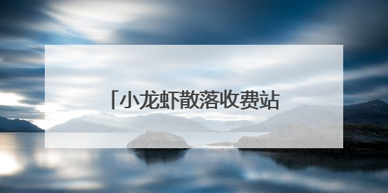 小龙虾散落收费站 工作人员上演暖心“抢虾大战”