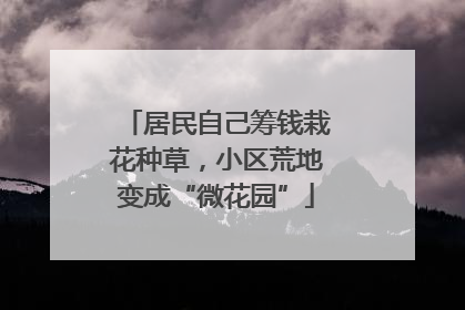 居民自己筹钱栽花种草，小区荒地变成“微花园”