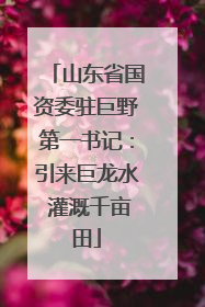 山东省国资委驻巨野第一书记：引来巨龙水 灌溉千亩田