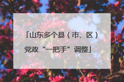 山东多个县（市、区）党政“一把手”调整