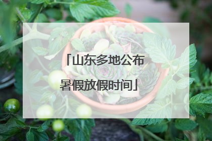 山东多地公布暑假放假时间