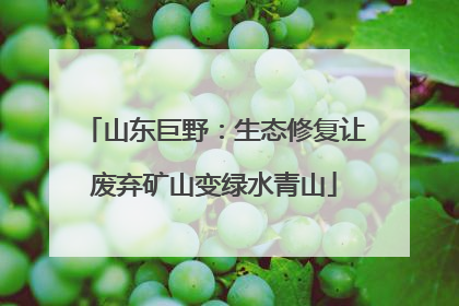 山东巨野：生态修复让废弃矿山变绿水青山