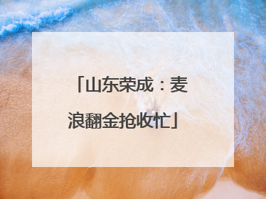 山东荣成：麦浪翻金抢收忙