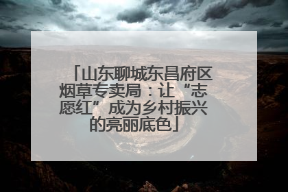 山东聊城东昌府区烟草专卖局：让“志愿红”成为乡村振兴的亮丽底色