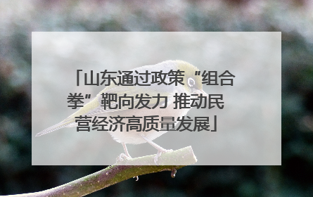 山东通过政策“组合拳”靶向发力 推动民营经济高质量发展