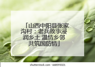 山西中阳县张家沟村：老兵故事浸润乡土 温情乡邻共筑国防情
