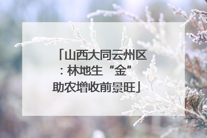 山西大同云州区：林地生“金” 助农增收前景旺
