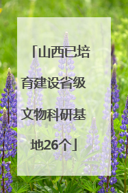 山西已培育建设省级文物科研基地26个