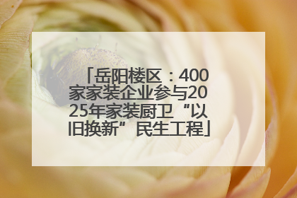 岳阳楼区：400家家装企业参与2025年家装厨卫“以旧换新”民生工程