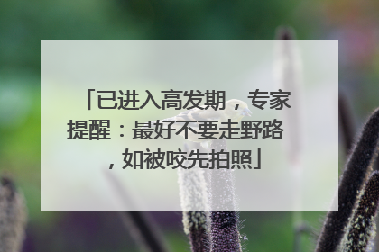已进入高发期，专家提醒：最好不要走野路，如被咬先拍照