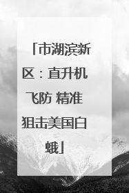 市湖滨新区：直升机飞防 精准狙击美国白蛾