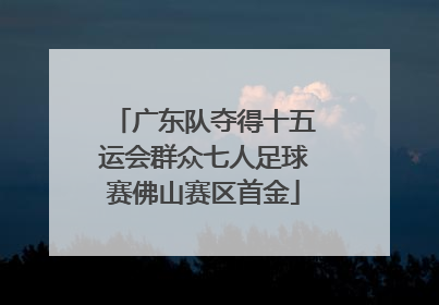 广东队夺得十五运会群众七人足球赛佛山赛区首金