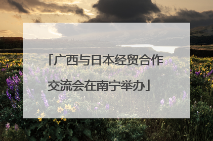 广西与日本经贸合作交流会在南宁举办