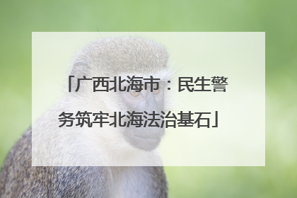 广西北海市：民生警务筑牢北海法治基石