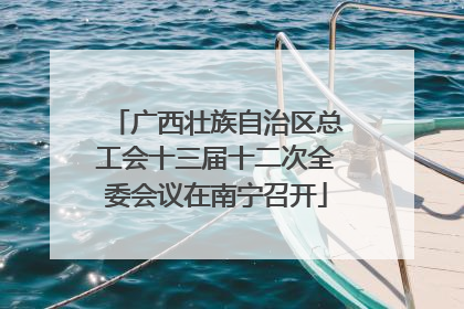 广西壮族自治区总工会十三届十二次全委会议在南宁召开