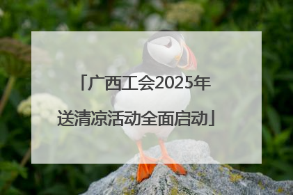 广西工会2025年送清凉活动全面启动