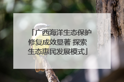 广西海洋生态保护修复成效显著 探索生态惠民发展模式