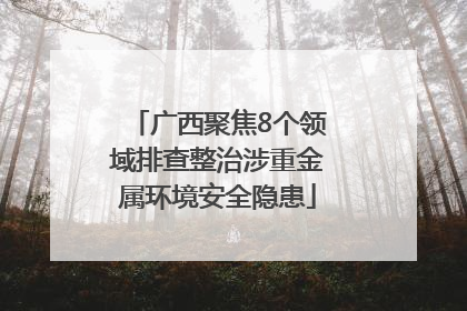 广西聚焦8个领域排查整治涉重金属环境安全隐患
