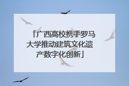 广西高校携手罗马大学推动建筑文化遗产数字化创新