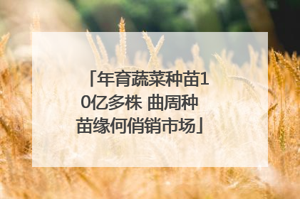 年育蔬菜种苗10亿多株 曲周种苗缘何俏销市场