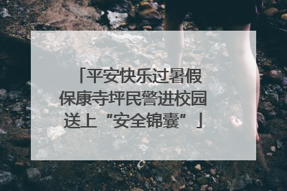 平安快乐过暑假 保康寺坪民警进校园送上“安全锦囊”