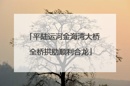平陆运河金海湾大桥全桥拱肋顺利合龙